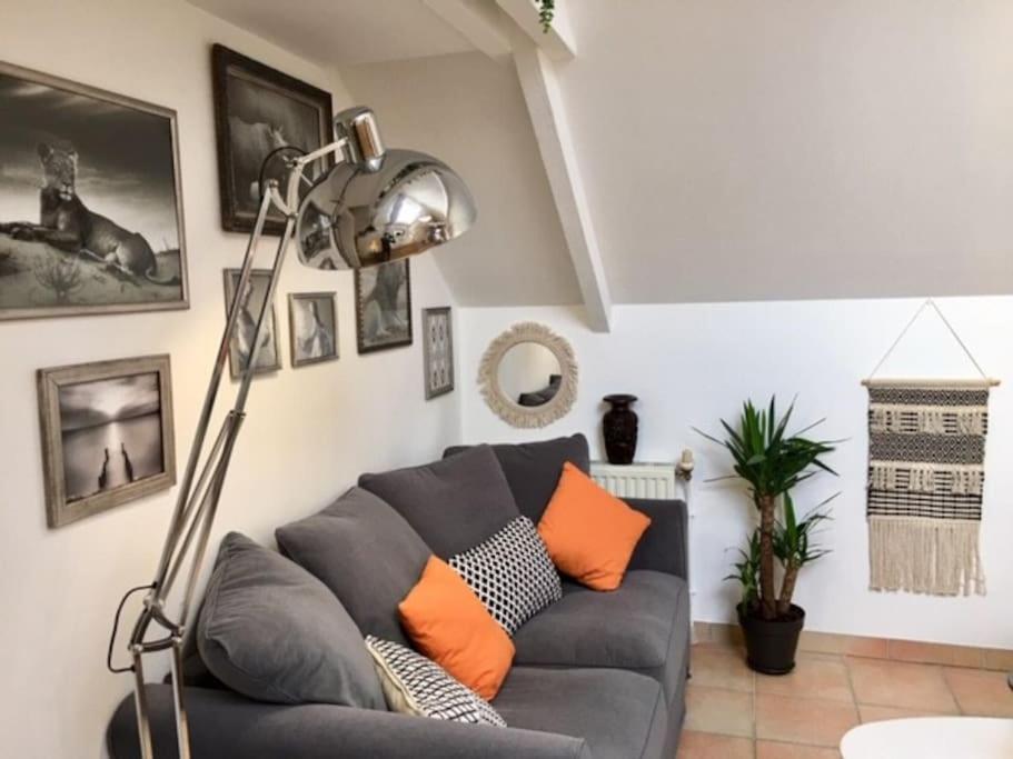 «  La Petite Maison » ....Des Grands Espaces... Saint-Maur-des-Fosses Luaran gambar